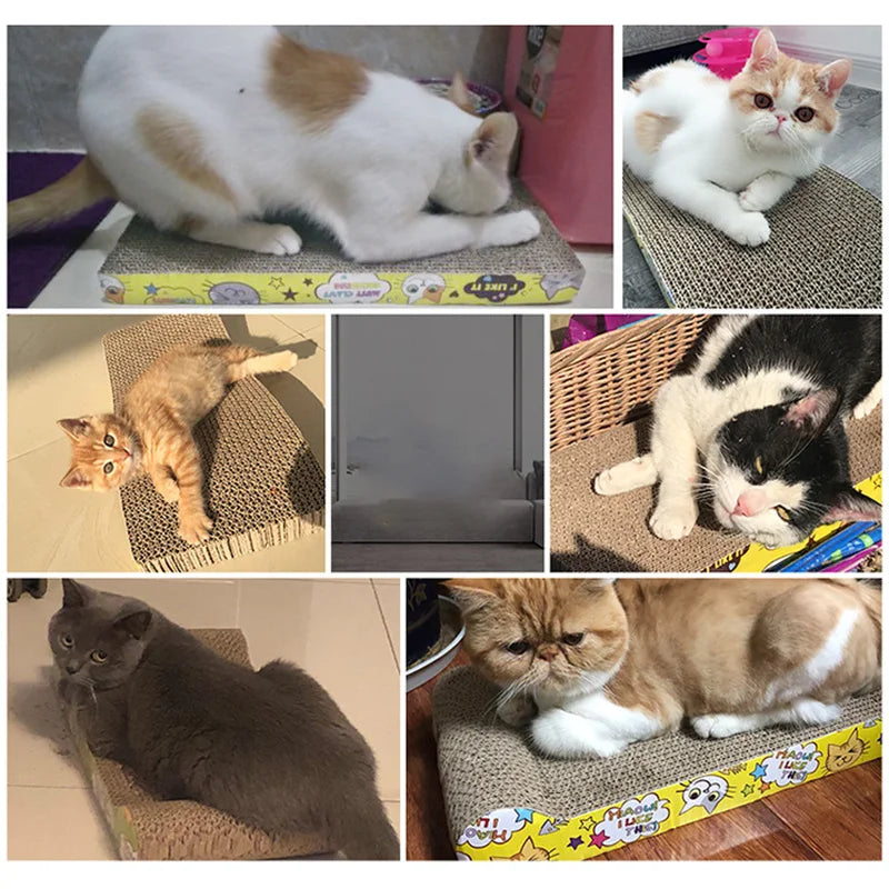 Cat scraper