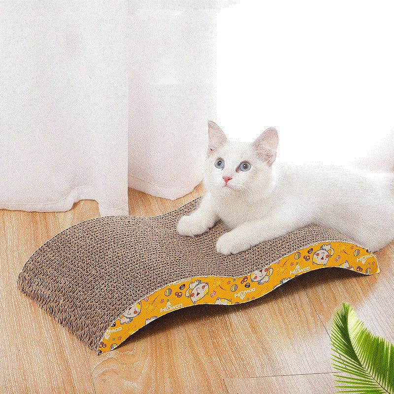 Cat  scraper