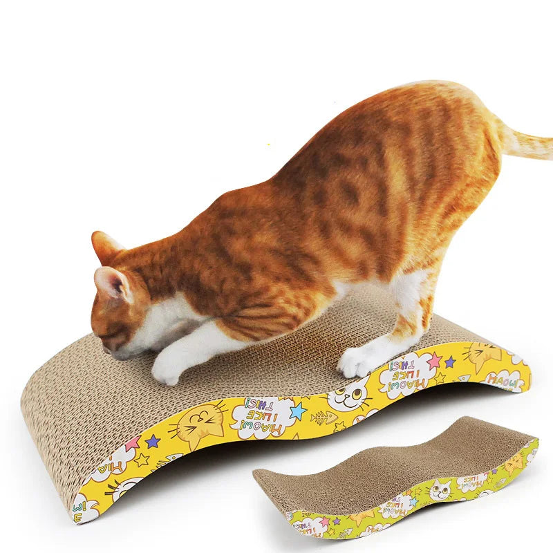 Cat  scraper