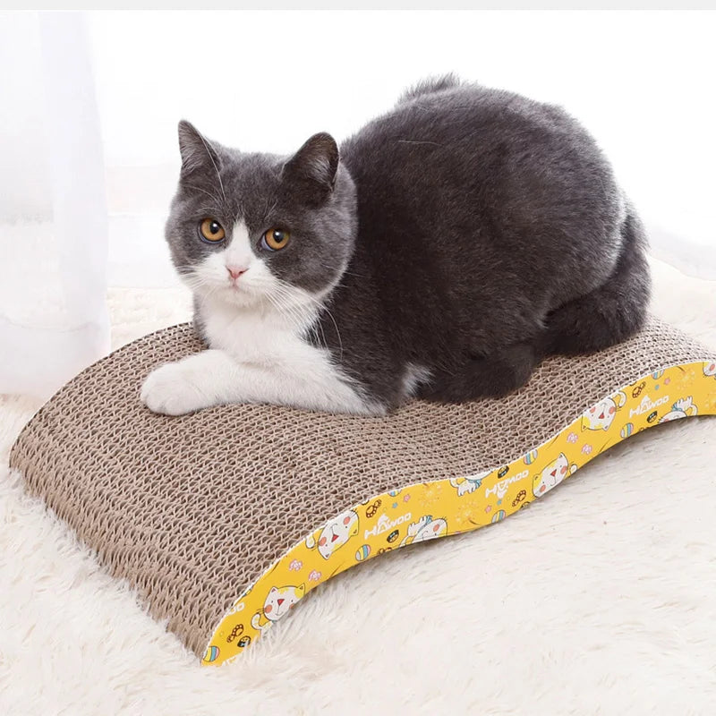 Cat  scraper